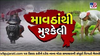 આણંદ પંથકમાં વિસ્તારોમાં વરસાદી માહોલ | Coldwave | Gujarat Rain | Monsoon 2024