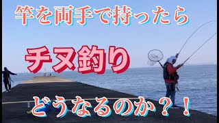 チヌ二刀流落とし込み