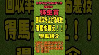 2024弥生賞得馬紹介　競馬YouTubeまとめ　#弥生賞2024 #競馬予想　#弥生賞追い切り