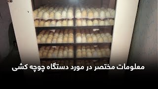 A Brief Overview of the Chicken Incubator Machine / معلومات مختصر در مورد دستگاه چوچه کشی مرغ