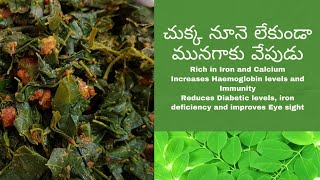 ఆరోగ్యకరమైన మునగాకు తాలింపు|Moringa/drumstick leaves recipe|Moringa leaves fry recipe|