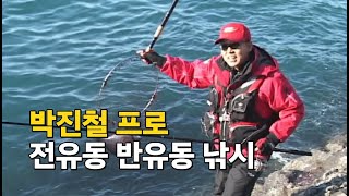 저수온기 감성돔낚시, 전유동이냐? 반유동이냐? #박진철 프로