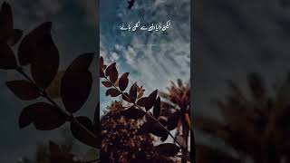 Raza saqib mustafai emotional bayan| Islamic whatsapp status video full screen|#razasaqibmustafai