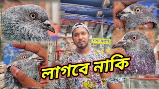 অনেকেই বাচ্চা কালেকশনের জন্য যোগাযোগ করেছেন তাদের জন্য এই ভিডিও টি🔥01640730279