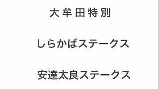 【競馬予想】 しらかばステークス 2022 安達太良ステークス 2022 大牟田特別 2022