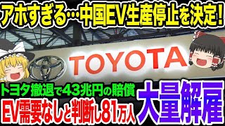 日本を潰そうとした中国欧州EVが返り討ち！とんでもない数の企業が大量倒産＋日本政府の巨額賠償で中国完全終了【ゆっくり解説】