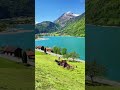 beautiful place to visit in switzerland travel natural travel video ep 342