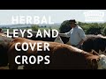 Herbal Leys and cover crops with George Hosier