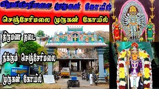 கல்யாண தடங்கல் நீக்கும் செஞ்சேரிமலை முருகன் | Senjerimalai Murugan