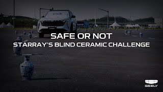 Safe or Not: Starray confronts the Blind Ceramic Challenge