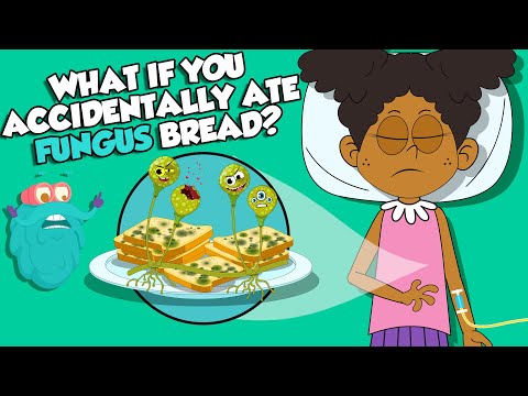 Is white bread mold dangerous?