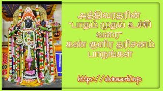 அத்திவரதரின் \