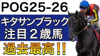 【POG/25−26】キタサンブラック産駒の注目２歳馬をリストアップ！【繁殖レベルが過去最高に‼️次シーズン向け】