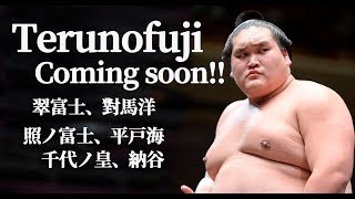 照ノ富士あと一勝‼️平戸海　翠富士、對馬洋　千代ノ皇、納谷　幕下激戦！九州場所　2019　＃大相撲　＃九州場所　＃力士　＃取組　＃Nov #sumo