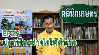 EP29 คลินิกเกษตร ปลูกพืชอย่างไรให้สำเร็จ