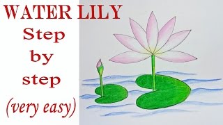 How to draw water lily step by step ( very easy) || drawing || art