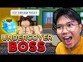 Blox Fruits - UNDERCOVER BOSS NAMIGAY NG GAMEPASS