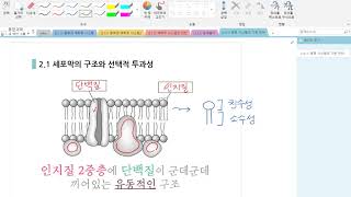 (2.3.1) 세포막의 구조와 선택적 투과성