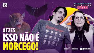 MORCEGOS: Especial Halloween | Cientista Reage | T2E5