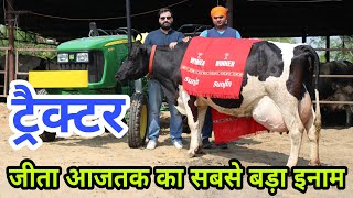 ट्रैक्टर जीत कर आई शानदार HF गाय - India's Best HF Cow Diary Farm || Top Quality HF Cows #hf #cow