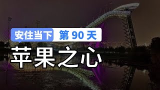 【安住当下DAY90】10分钟冥想引导｜苹果之心