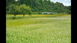 只見線 金山町大志集落 424D、426D ～ 柳津町細八 426D