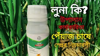 পেঁয়াজে কত দিন বয়সে লুনা ব্যাবহার করা উচিৎ।।লুনা কীটনাশক পেঁয়াজে কি কি কাজ করে||লুনা কি||