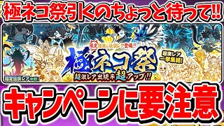 【引くべき？】極ネコ祭がキタ！今後やってくる神キャンペーンに備えろ！【にゃんこ大戦争】