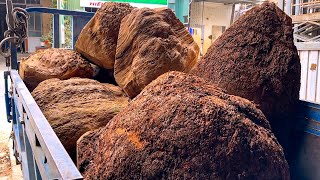 Incredible Woodturning // The Most Beautiful Burl Wood In The World