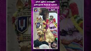 தங்கக் குதிரை வாகனத்தில் நம்பெருமாள் வேடுபறி உற்சவம் ! | Tiruchy | Ranganathaswamy Temple |Srirangam