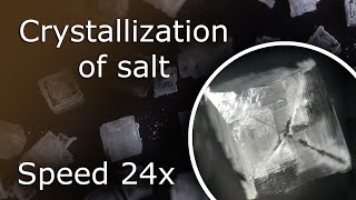 Crystallization of Salt Under a Microscope (Speed 24x)