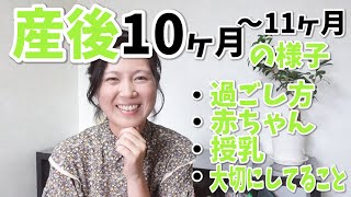 愛情タンクを一杯に＊助産師 梅ちゃん 産後10ヶ月〜11ヶ月の状況♪