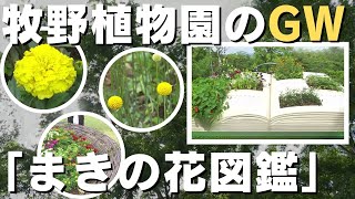 「高知市五台山の人気スポット 県立牧野植物園と竹林寺賑わう」2024/5/2放送