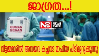 സംസ്ഥാനത്തിതുവരെ  വൃക്ക തട്ടിപ്പിനിരയായത് 30 സ്ത്രീകള്‍ | News Cafe 24