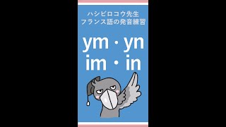 《フランス語文法》ハシビロコウ先生動画 【つぶやきのフランス語文法 p.11】ym / yn の発音練習