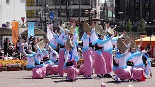 菊水連 @ はなはるフェスタ (藍場浜公園) 2019-04-20T11:18