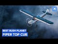 Piper PA-18 Top Cub -  Best STOL Bush Plane | History, Specs and In-Depth Review!