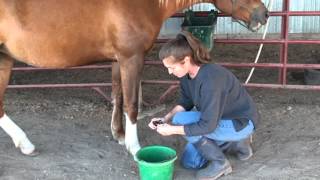 Natural Hoof Soak For Healthy Hooves