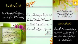 Heart Touching Lines | Urdu Quotes | Life Changing Poetry | Islamic Quotes @MyHappines2024