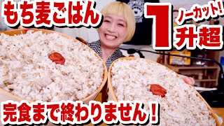 【大食い ノーカット】＃17  お米1升をもち麦ごはんにしておかずを食べるライブ。【#ご飯１升ライブ 】【#ロシアン佐藤 】【RussianSato 】