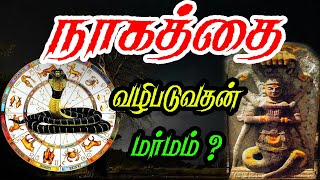 நாகத்தை வழிபடுவதன் உண்மையான காரணம் இதுதான்