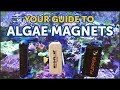 The Best Magnetic Algae Cleaners And How to Choose The Right One For Your  Aquarium