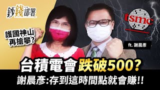 台積電會跌破500? 謝晨彥斷言:存到這時間點就會賺!!《鈔錢部署》盧燕俐 ft.謝晨彥 20220428