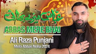 Nohay 2024 | Abbas Mere Bhai | Mola Abbas Noha 2024 | Ali Raza Punjani | Muharram Nohay 2024/1446