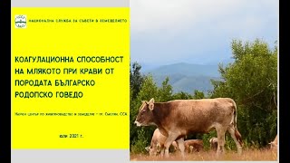 Коагулационна способност на млякото при крави от породата Българско родопско говедо