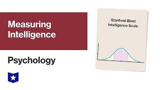 Measuring Intelligence | Psychology