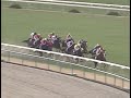 ナリタトップロード 1999年 福寿草特別 4歳500万下 優勝馬：スリリングサンデー 渡辺騎手インタビュー付