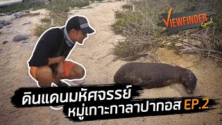 Viewfinder Special : Galapagos ดินแดนมหัศจรรย์ สัตว์แปลกเหนือวิวัฒนาการ Ep.2