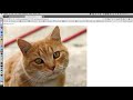 Class08 - HTML/CSS - week 1 pt1