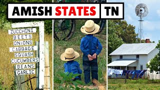 The Amish in Tennessee (12+ Communities)